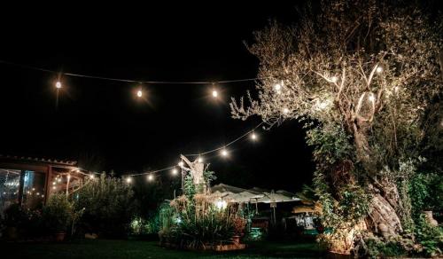 festa-giardino-villa-roma-nord-parco-veio-de-ceveri